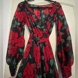 Windsor Chiffon Rose Maxi Dress Sz S